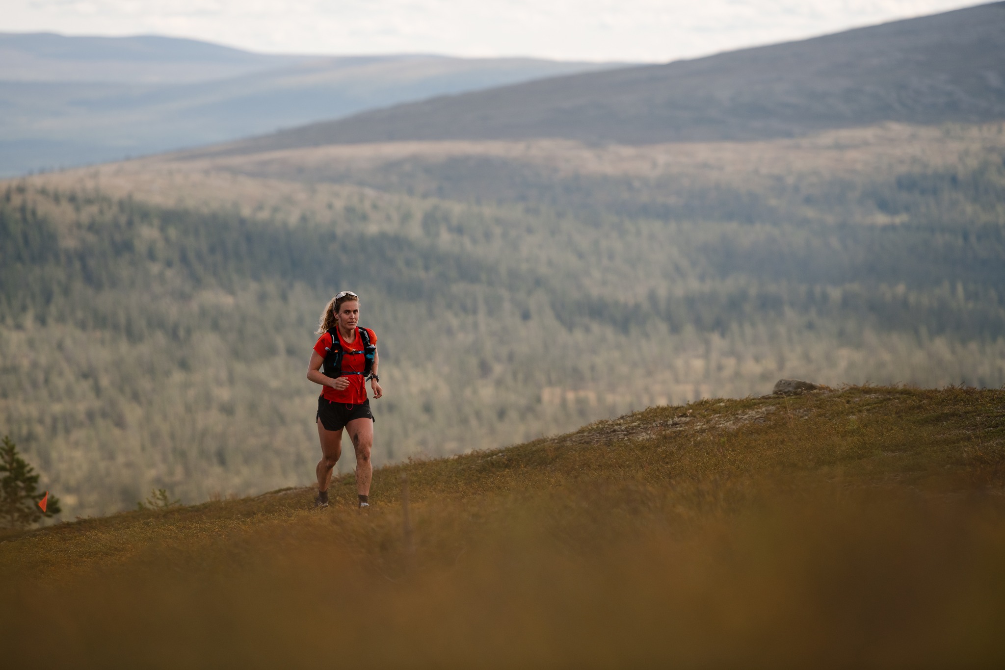 Springa Fort Vi nöter backe i Veckans Pass | Trailrunning Sweden Trailrunning Sweden
